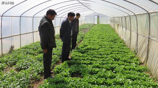 ཁྱད་ལྡན་ཐོན་ལས་ཀྱིས་མུ་ལི་རྫོང་གི་ཞིང་ལས་འཕེལ་རྒྱས་ཀྱི་ལེའུ་གསར་པ་བྲིས།