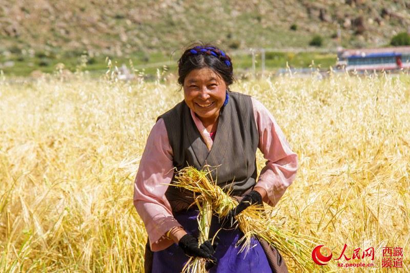 སྟོད་ལུང་བདེ་ཆེན་ཆུས་གནམ་བར་གྲོང་ཚོར་ལོ་ལེགས་བྱུང་བའི་སྤྲོ་སྣང་།