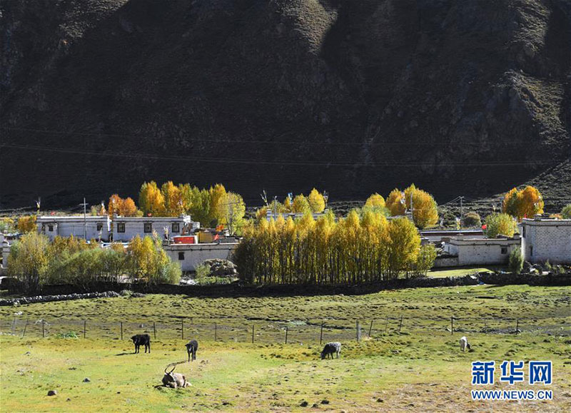 མཚུར་ཕུ་ལུང་པའི་སྟོན་ཁའི་མཛེས་ལྗོངས།