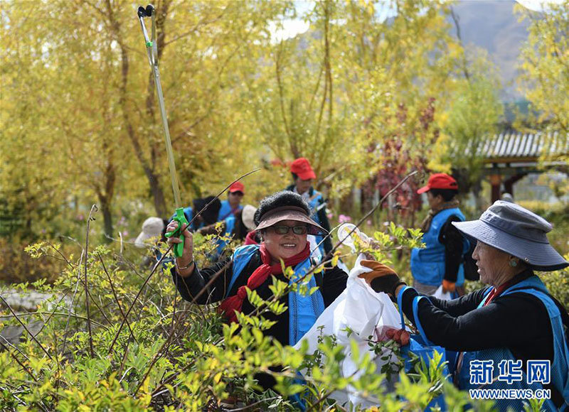 བོད་ལྗོངས་སུ་འགྱིག་སྣོད་སྦག་བཙོག་འགོག་པའི་མཐུན་ཚོགས་བཙུགས་པ།