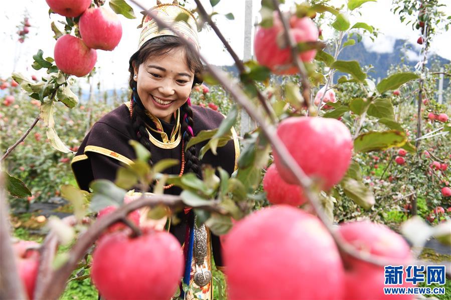 ཁྲོན་བོད་མཉམ་འབྲེལ་བྱས་ནས་བོད་ལྗོངས་ཀྱི་ཀུ་ཤུ་ཚད་ལྡན་ཅན་གྱི་འདེབས་འཛུགས་ལ་སྐུལ་འདེད་བཏང་བ།