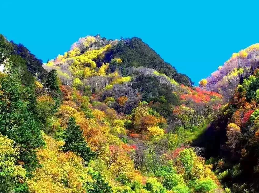 ཁྲོ་ཆུ་རྫོང་གིས་རིག་གནས་རྒྱུད་འཛིན་དང་སྲུང་སྐྱོང་བྱས།