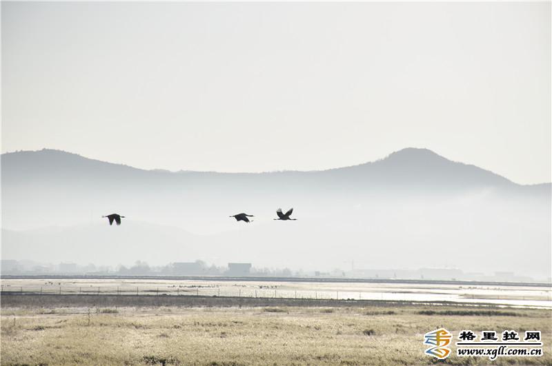 སེམས་ཀྱི་ཉི་ཟླར་ཁ་བ་བབས་བྱུང་།