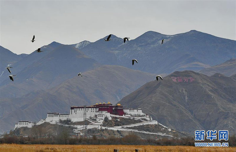 ལྷ་ཀླུ་འདམ་ར།