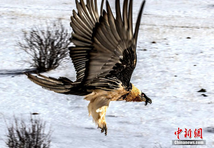 རྫ་ཆུའི་ཆུ་འགོ་ནས་གོ་བོ་མཐོང་བ།