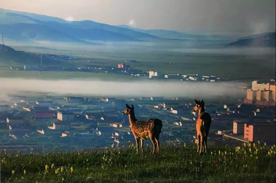 རྔ་བ་ཁུལ་གྱི་ཚོགས་ཆེན་གཉིས་སུ་ཡིག་གཟུགས་སོགས་འགྲེམ་སྟོན་བྱས།