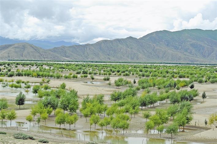 སྐྱེ་ཁམས་སྲུང་སྐྱོང་གི་ལས་ཀ་སྤེལ་བཞིན་པ།