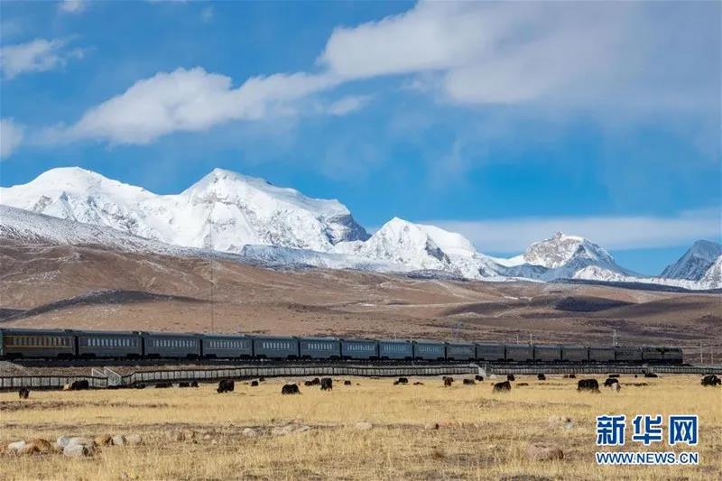 ས་བབ་མཐོ་ཚད་སྨི་4500ཡན་གྱི་གངས་ལྗོངས་ཀྱི་ལམ་སྲུང་བ།