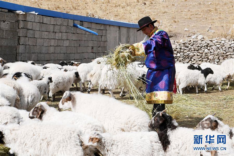 དབུལ་ཕོངས་དུད་ཚང་ནས་ཕྱུག་འགྱུར་འཇོན་ཐང་ཅན་བར། བོད་རིགས་གྲོང་མི་སུང་ཐན་ཀྲུའུ་ཡི་“འགྱུར་ལྡོག”ཟིན་ཐོ།