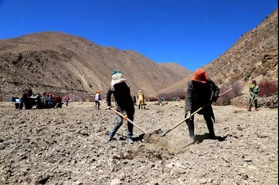 དཔྱིད་ཀྱི་ཞིང་ས་གཤིན་པོར་རྨོད་གྲབས་ཀྱི་ཚ་རླབས་འཕྱུར་བ།
