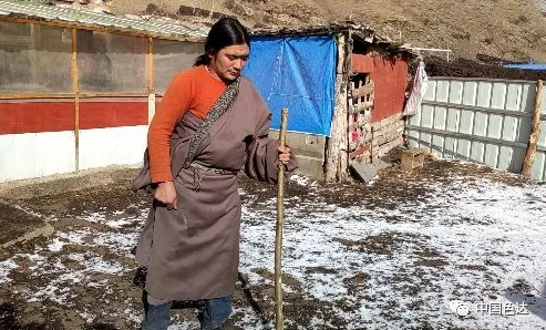 གསེར་རྟ་རྫོང་གིས་དབང་པོ་སྐྱོན་ཅན་གྱི་འཚོ་བར་ཁ་དོག་བསྩལ།