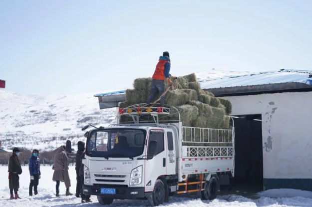 ཧུང་ཡོན་རྫོང་གིས་དཔྱིད་དུས་ཀྱི་ཕྱུགས་ལས་ལ་མཐུན་རྐྱེན་བསྐྲུན།