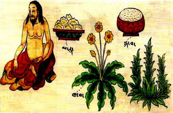 བོད་ཀྱི་གསོ་རིག་གཞུང་ལུགས་ཁྲོད་ཀྱི་ཐུན་མོང་མ་ཡིན་པའི་གདམས་ངག་ཅིག