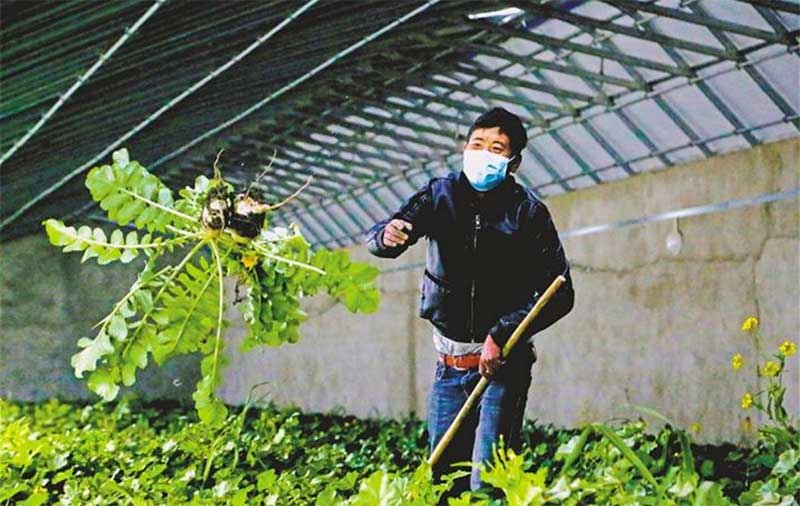 དཔྱིད་ཀ་ནི་ཞིང་བྲེལ་གྱི་དུས་ཡིན།