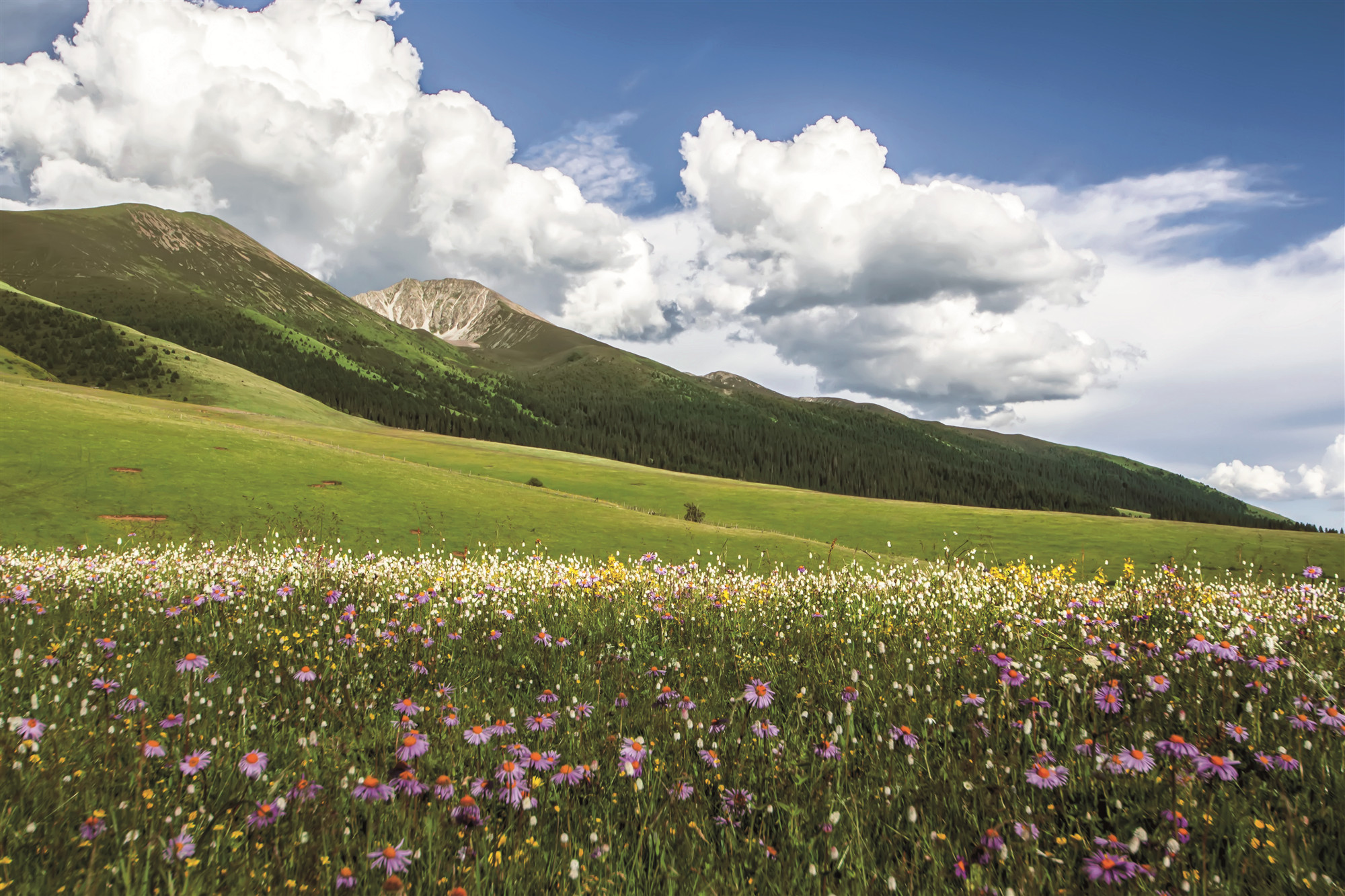 སི་ཁྲོན་ཞིང་ཆེན་གྱིས་སྐྱེ་ཁམས་ཁོར་ཡུག་སྲུང་སྐྱོང་ཨུ་ཡོན་ལྷན་ཁང་བཙུགས་པ།