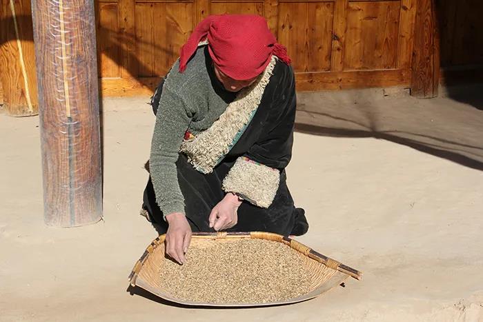 སྲོལ་རྒྱུན་ལག་རྩལ་ལ་དུས་རབས་ཀྱི་སྲོག་རླུང་གསར་པ་ཞུགས་ནས་དབུལ་ཐར་ཕྱུག་འགྱུར་གྱི་ལག་རོགས་བཟང་པོར་གྱུར།