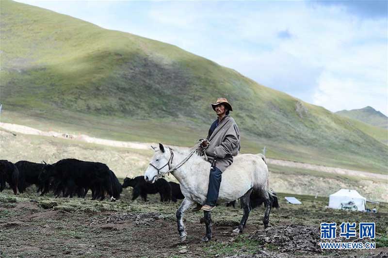 མཚོ་སྔོན་ཞིང་ཆེན་གྱི་རྫོང་དབུལ་པོ་ཚང་མས་དབུལ་ཞྭ་ཕུད་པ།
