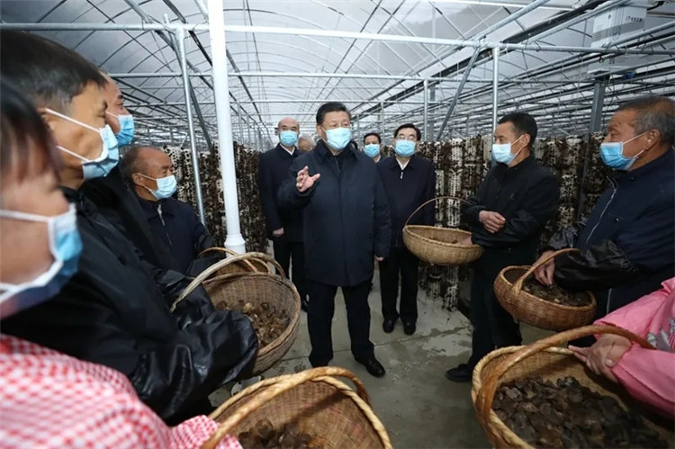 སྤྱི་ཁྱབ་ཧྲུའུ་ཅི་ཞི་ཅིན་ཕིང་གིས་ཧྲའན་ཞི་རུ་རྟོག་ཞིབ་དང་བརྟག་ཞིབ་གནང་བ།