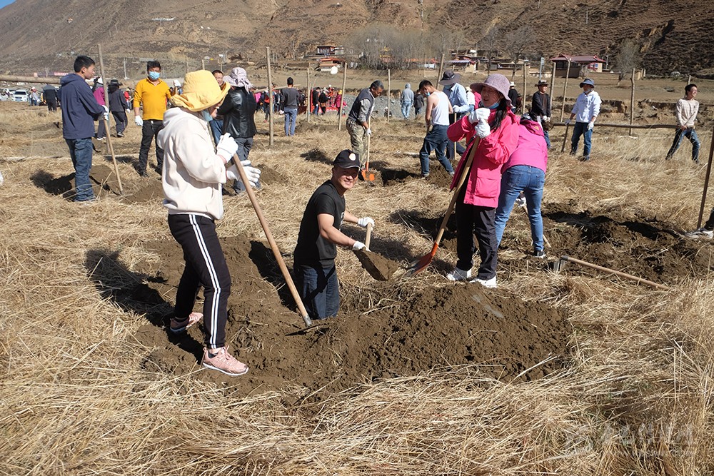 དཀར་མཛེས་རྫོང་གིས་འོས་འགན་ཤིང་འཛུགས་ཀྱི་བྱེད་སྒོ་སྤེལ།