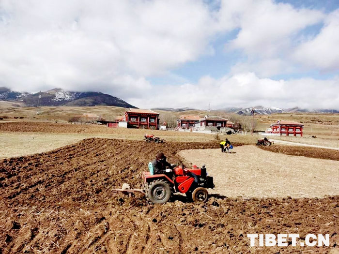 བྲག་འགོ་རྫོང་གིས་སྔ་མོ་ནས་འཆར་གཞི་བཀོད་དེ་དཔྱིད་ཀའི་རྨོ་འདེབས་བདེ་བླག་ངང་གྲུབ་ཅིང་ལོ་ལེགས་ཡོང་བར་རྨང་གཞི་བཏིང་།