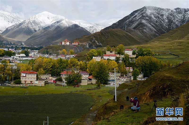 འདབ་པའི་འཕོ་འགྱུར།