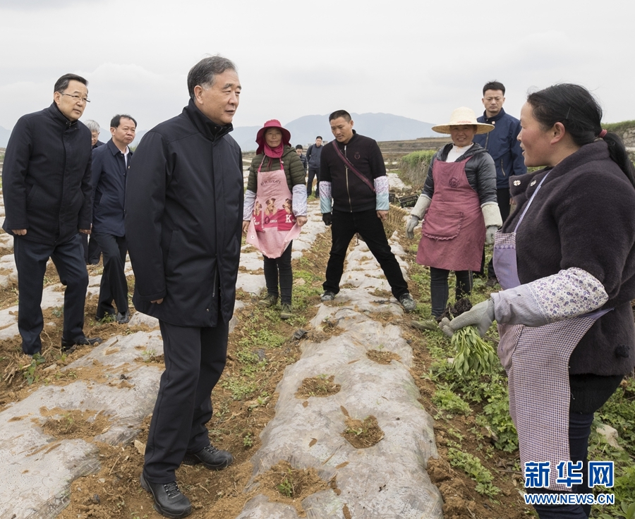  ཝང་དབྱང་གིས་ཡུན་ནན་དང་ཀུའེ་ཀྲོའུ་ཡི་དབུལ་ཐར་མཁྲེགས་གཏོར་བྱ་བར་རྟོག་ཞིབ་གནང་།