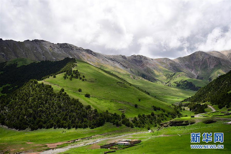 ཤང་ཀྲང་དཀོན་མཆོག་ཆོས་སྒྲོན་གྱིས་གསར་འགོད་པར་ལན་འདི་འདྲ་བཏབ་འདུག