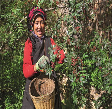 རྗེས་ལུས་མཐའ་ཁོབ་ཀྱི་གྲོང་ཚོའི་གནམ་ས་བླ་འོག་བསྒྱུར་བའི་འཕོ་འགྱུར།