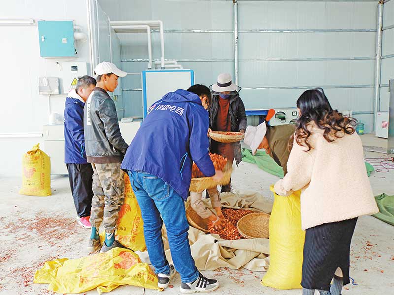 དྲ་ཐོག་ལས་སྟེགས་བརྒྱུད་ཕྱུག་འགྱུར་ཐབས་ལམ་རྒྱ་ཆེར་བཏང་བ།