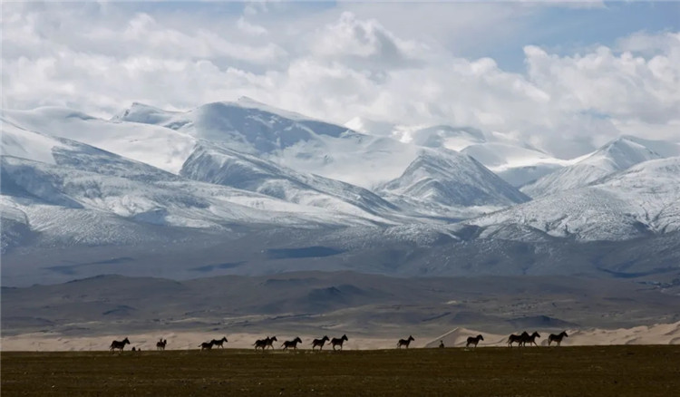 གཙང་གསུམ་འབྱུང་ཡུལ་གྱི་ལས་གཞི་ཆེན་མོ་འདིའི་ལས་རིམ་འདིར་སླེབས།