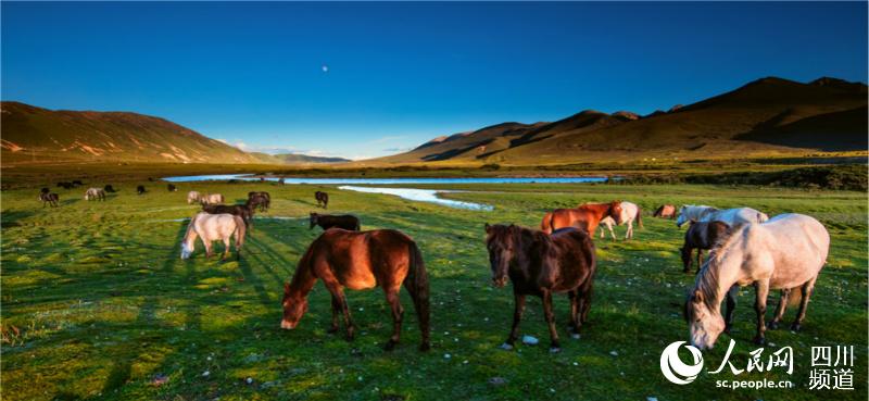 ལི་ཐང་རྫོང་དུ་རིག་གནས་ཡུལ་སྐོར་གྱི་ཐོན་ཁུངས་318གསར་དུ་བྱུང་།