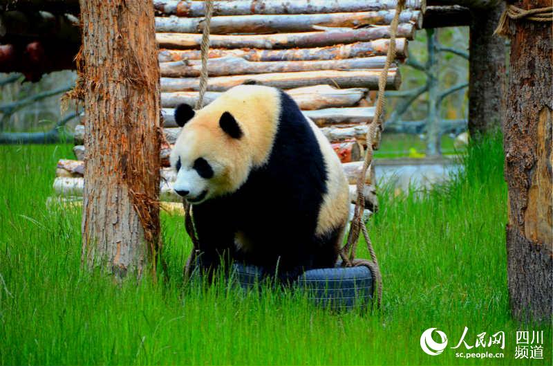 གཟི་ཚ་སྡེ་དགུའི་དོམ་ཁྲ་གླིང་གི་སྒོ་ཕྱེས་པ། 