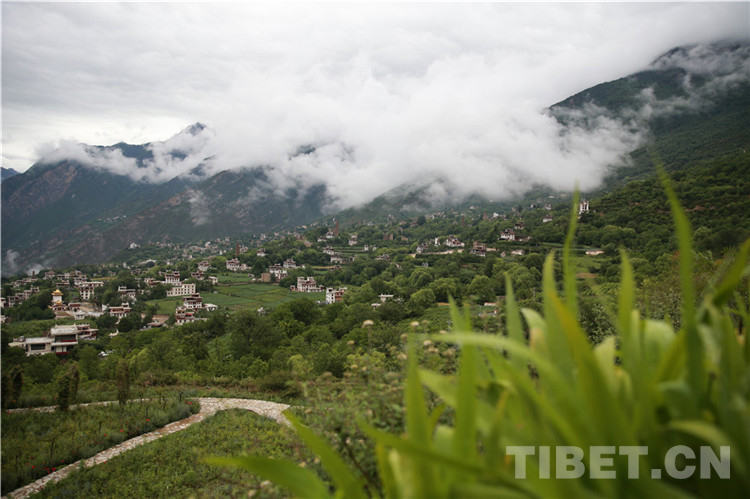 མཛེས་ཤིང་ལྟ་ན་སྡུག་པའི་རི་ཁྲོད་ཀྱི་སྤྲོ་སྣང་བོད་གྲོང་།