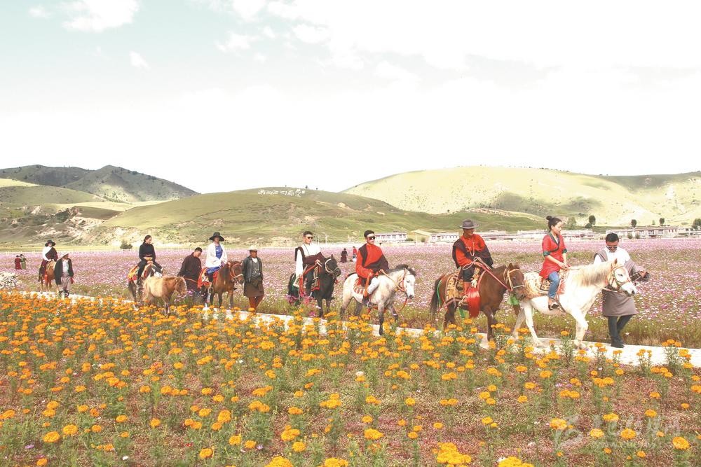 “དམངས་ཕྱུག་གནས་ཚད”གཏན་འཁེལ་བྱས་ཏེ་ཕྱུག་འགྱུར་གྱི་སྒོ་མོ་ཕྱེ།
