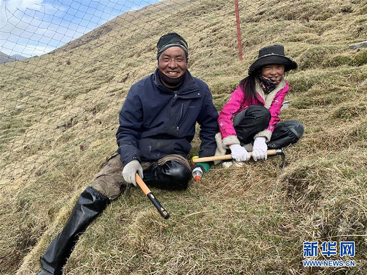 དབྱར་རྩྭ་དགུན་འབུ་བརྐོ་བའི་དུས་ལ་སླེབས་པ།