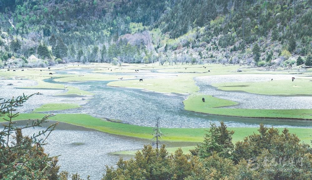 སྐྱེ་ཁམས་མཛེས་སྡུག་དང་མི་སེར་ཕྱུག་འགྱུར་མཉམ་འཕེལ་བྱུང་།