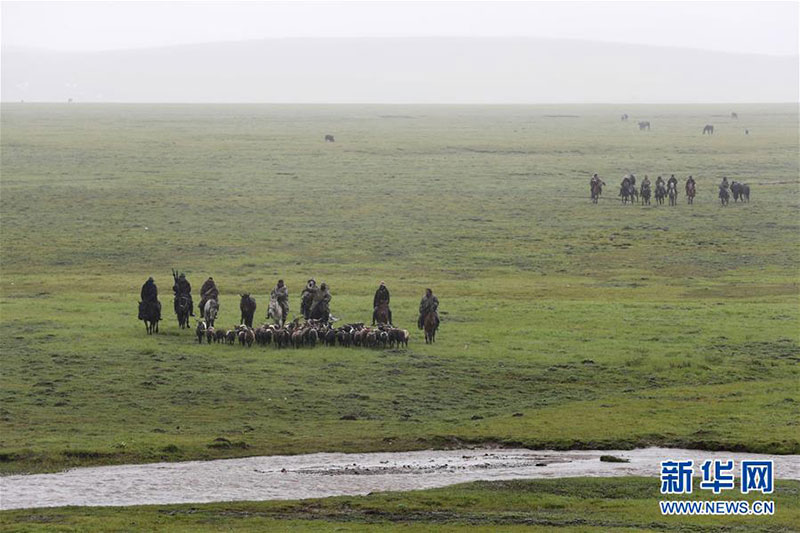 བོར་ཕྱུགས་ལེན་སའི་སྟོང་ལུག་གད་པ། 