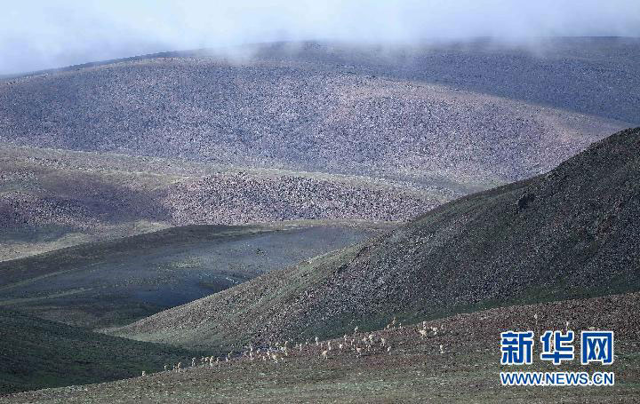ཨ་ཆེན་གངས་རྒྱབ་ཏུ་རི་སྐོར་རུ་མིས་གཙོད་གནས་སྤོ་བར་སྲུང་སྐྱོང་བྱས་པ། 