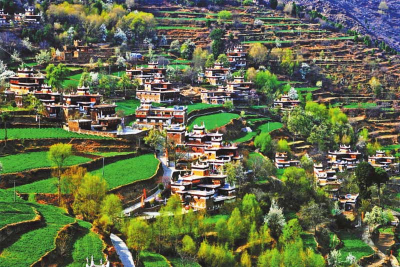 རོང་བྲག་རྫོང་གིས་རྨང་གཞིའི་སྒྲིག་བཀོད་འཐུས་ཚང་དུ་བཏང་ནས་ཡུལ་སྐོར་དབུལ་སྐྱོར་ཡག་པོ་བྱས་པ།