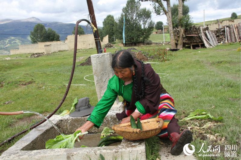 ལི་ཐང་རྫོང་དུ་སྔོ་ཚལ་དྲོད་ཁང་ཆུང་ཆུང་གིས་འབྲོག་པའི་སྔོ་ཚལ་ཟ་རྒྱུ་དཀོན་པ་དང་སྔོ་ཚལ་གྱི་རིན་གོང་མཐོ་བའི་གནད་དོན་ཐག་བཅད་པ།
