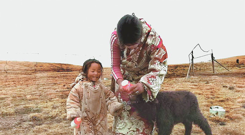 བ་ཡན་ཧ་རི་ནས་དྲེད་མོང་འཚོལ་བའི་ཟིན་བྲིས།