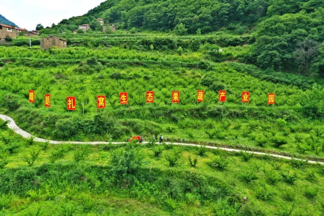 ཕྱུག་འགྱུར་གྱི་རེ་བ་བསྐང་ཐུབ་པའི་ཤིང་ཏོག་ལི་སོབ།
