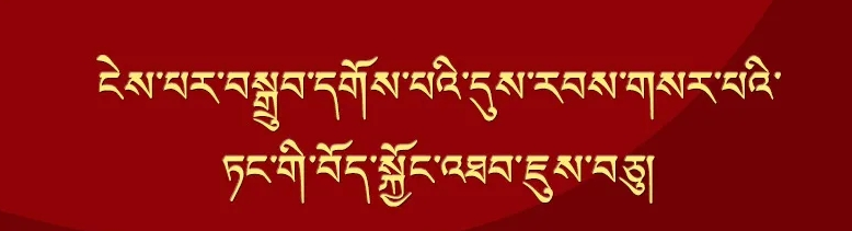 དུས་རབས་གསར་པའི་ཏང་གི་བོད་སྐྱོང་འཐབ་ཇུས་བཅུ།
