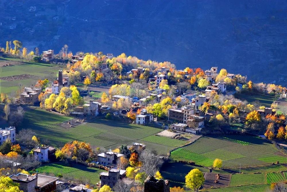 དཀར་མཛེས་གསར་པའི་གཟི་མདངས་འདི་ནས་འཚེར།