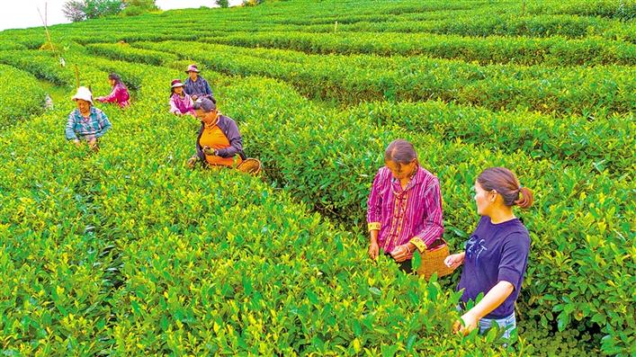 མེ་ཏོག་རྫོང་གི་ཟས་གོས་འཛོམས་ཤིང་རེ་བས་ཁེངས་པའི་ཇ་འཐུ་ཚང་།