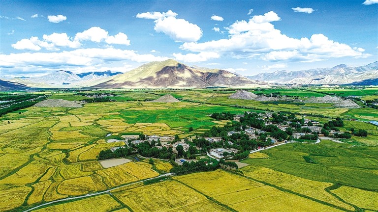 “དུ་མེད་གྲོང་ཚོའི”རེ་སྙེག་གསར་པ།