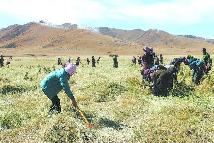​ཐོན་ལས་གསར་གཏོད་བྱས་ཏེ། སྔོ་རྩྭ་གསེར་རྩྭར་བསྒྱུར་བ།