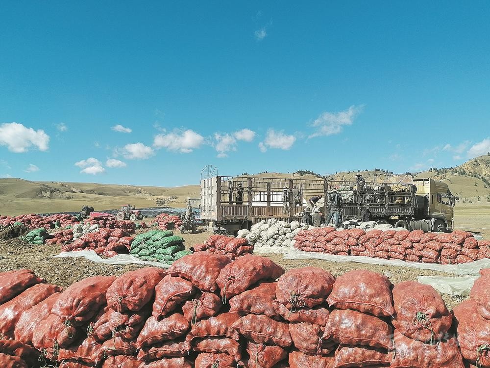 ལི་ཐང་རྫོང་གི་ཞོག་ཁོག་ཏུན90གཞན་ཡུལ་དུ་ཚོང་ལམ་བྲིན།