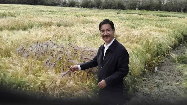 ནས་འདེབས་མཁན་འབུམ་རམས་པ་ཉི་མ་བཀྲ་ཤིས་ཀྱི་སྐོར་བྲིས་པ།