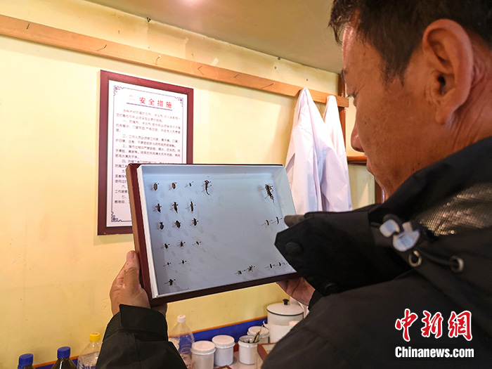 ཕོ་བྲང་པོ་ཏ་ལ་སྲུང་སྐྱོང་སྐོར་གྱི་འཐབ་ཇུས་མཉམ་ལས་བྱེད་པ། 